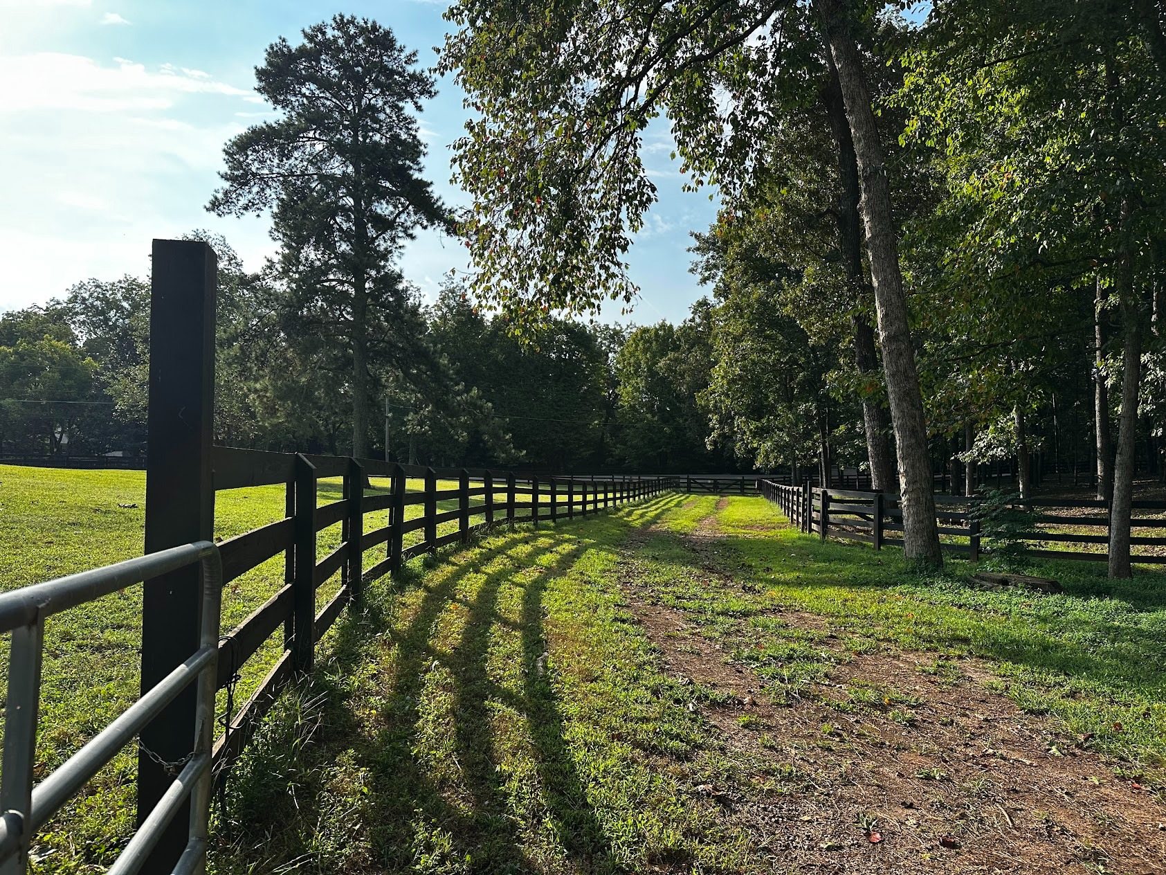 Sunlight and long shadows along the fence-lined path at Jennifer’s farm